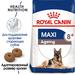 Royal Canin Maxi Ageing 8+ Сухой корм для пожилых собак крупных пород старше 8 лет – интернет-магазин Ле’Муррр